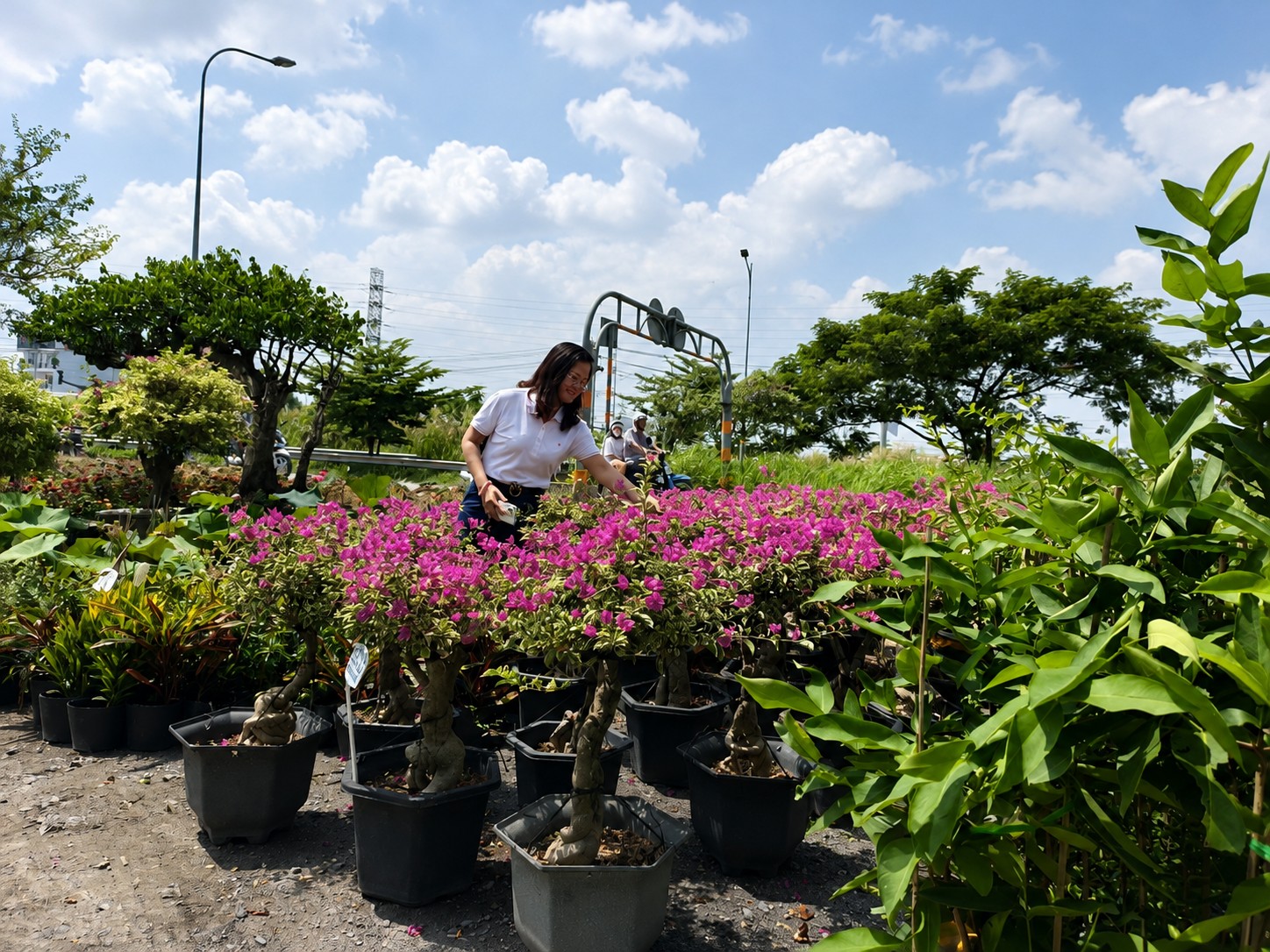 Sự kết hợp giữa nhà vườn TP.HCM và làng hoa trăm tuổi Sa Đéc Sự kết hợp giữa nhà vườn TP.HCM và làng hoa trăm tuổi Sa Đéc