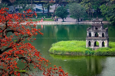 Hồ Gươm – Hệ sinh thái đô thị cần được bảo tồn trong quy hoạch di sản