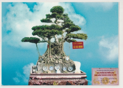 Nghệ nhân SVCVN Mai Xuân Thịnh Hải Minh - Hải Hậu - Nam Định