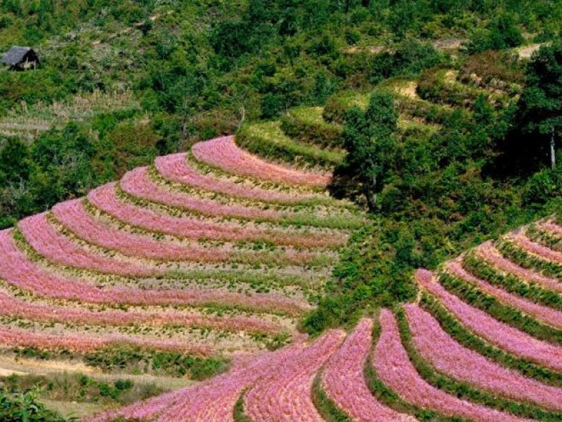 7 địa điểm “chất lì” ở Việt Nam khi mùa đông về - CheckinDanang.com