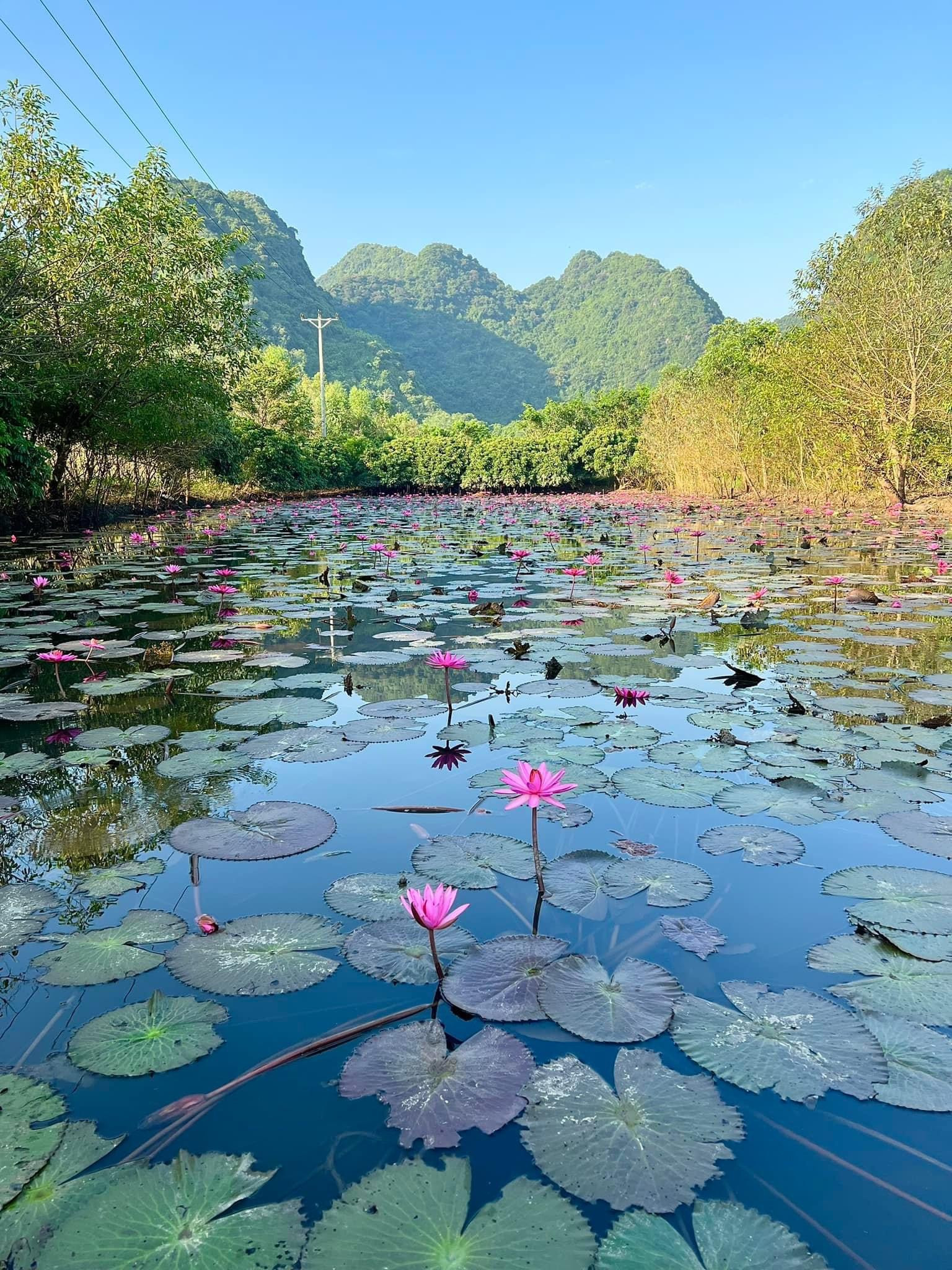 Mùa thu, tới chùa Hương ngắm thiếu nữ rạng ngời bên dòng suối nở hoa