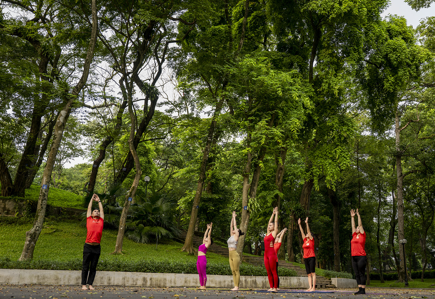 Ngỡ ngàng với cảnh bình minh trong &amp;#34;rừng xanh&amp;#34; giữa lòng Hà Nội - 5
