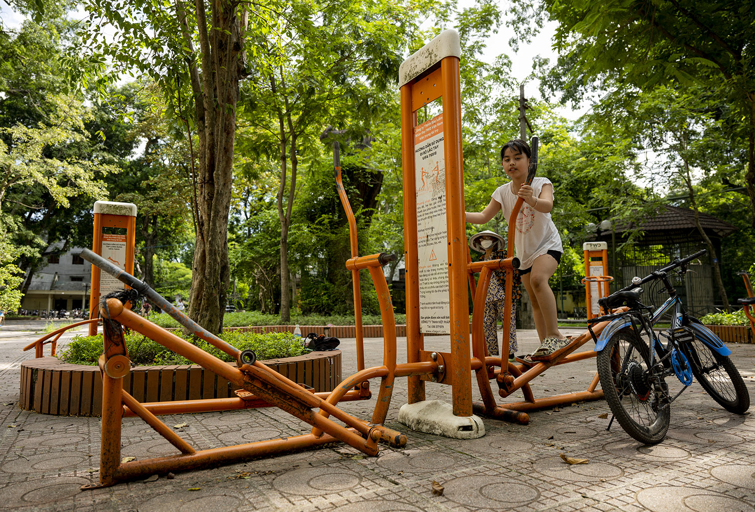 Ngỡ ngàng với cảnh bình minh trong &amp;#34;rừng xanh&amp;#34; giữa lòng Hà Nội - 15