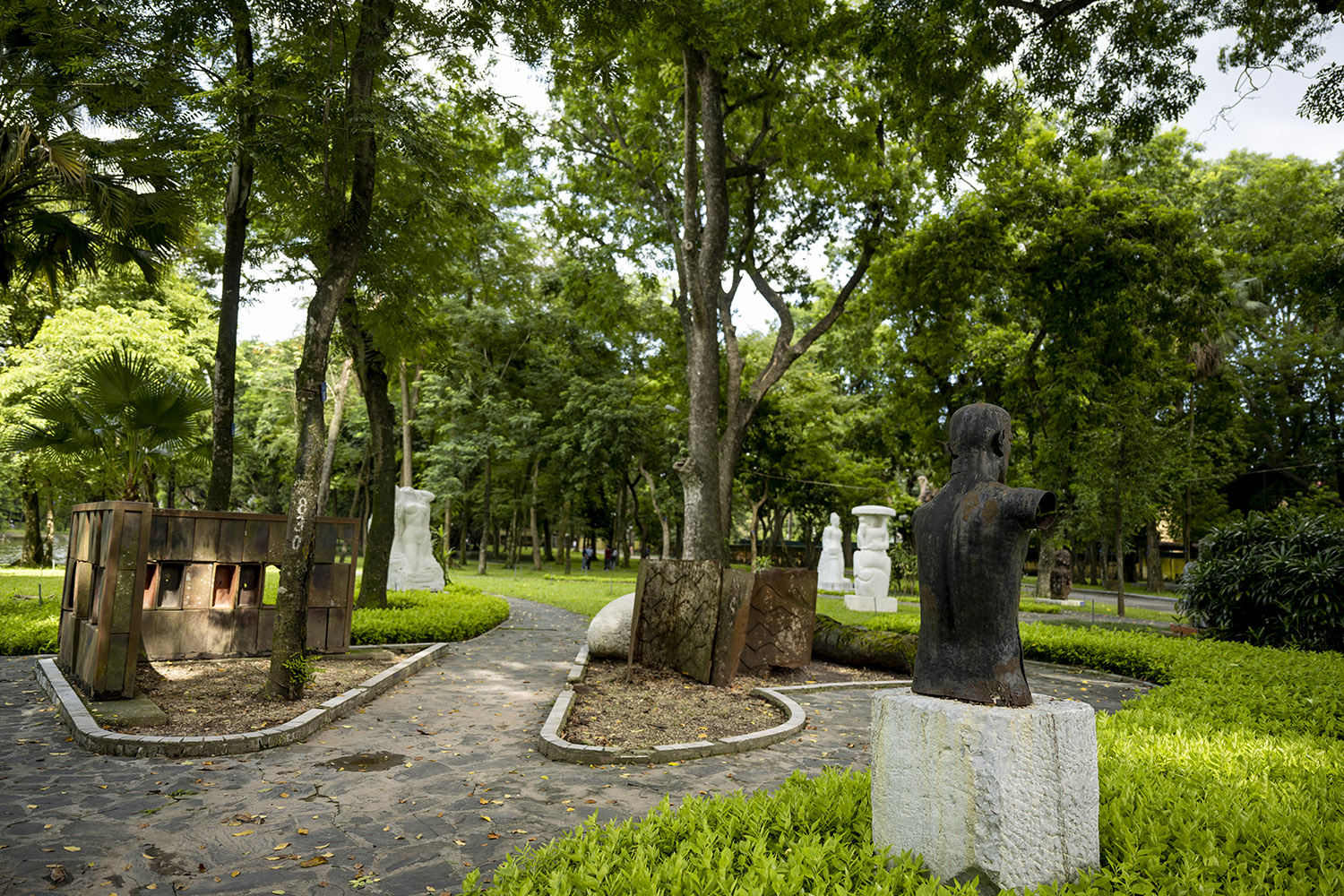 Ngỡ ngàng với cảnh bình minh trong &amp;#34;rừng xanh&amp;#34; giữa lòng Hà Nội - 16